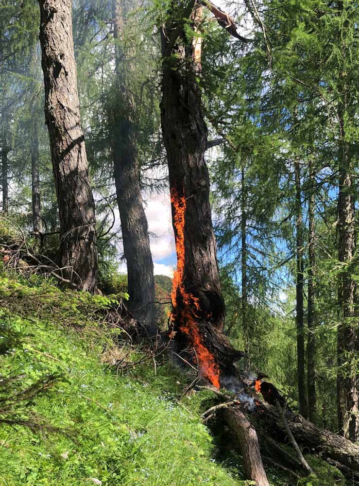 Fulmine provoca un incendio nel bosco di Viza Vecia. Comandante Corbini: “In montagna questa tipologia di eventi non è affatto rara”