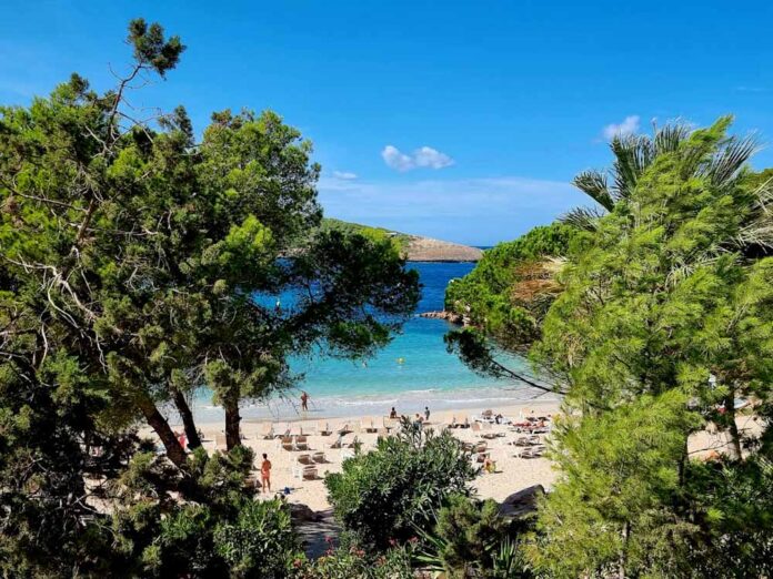 mare