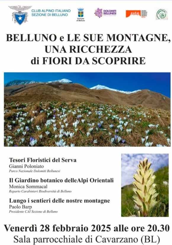 Le montagne di Belluno e il loro patrimonio floreale. Venerdì sera a Cavarzano