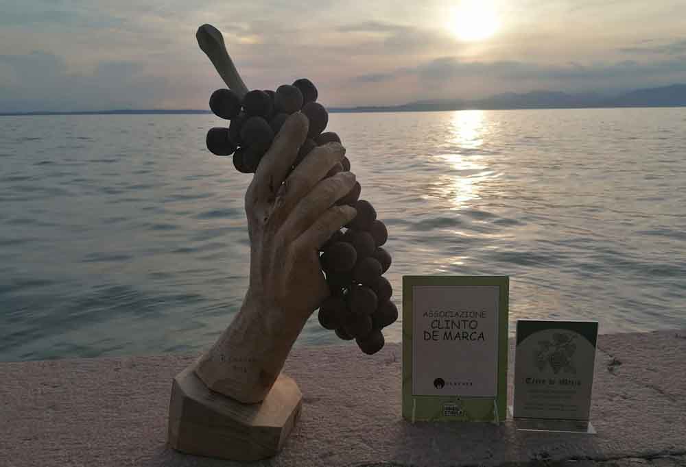 Un traliccio nel vigneto: l’appello di Al Fol resta inascoltato. Terna ancora senza risposta