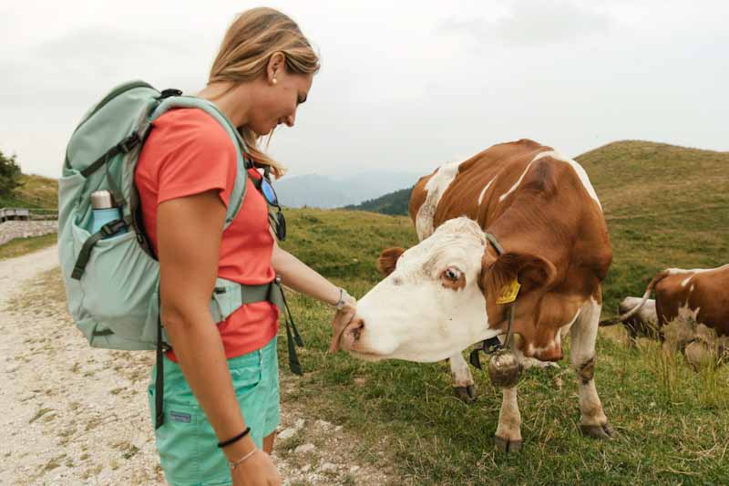 Malghe tra Miane e Borgo Valbelluna. Sapori, cultura e tradizione domenica 7 settembre