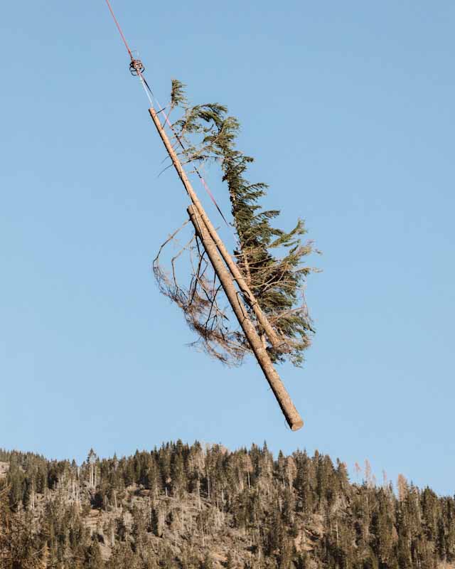 There’s no calm after the storm: la mostra fotografica di Matteo de Mayda sulle ferite lasciate dalla tempesta Vaia