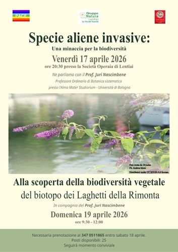 Belle, strane e pericolose: alla scoperta delle “aliene” che minacciano la nostra biodiversità